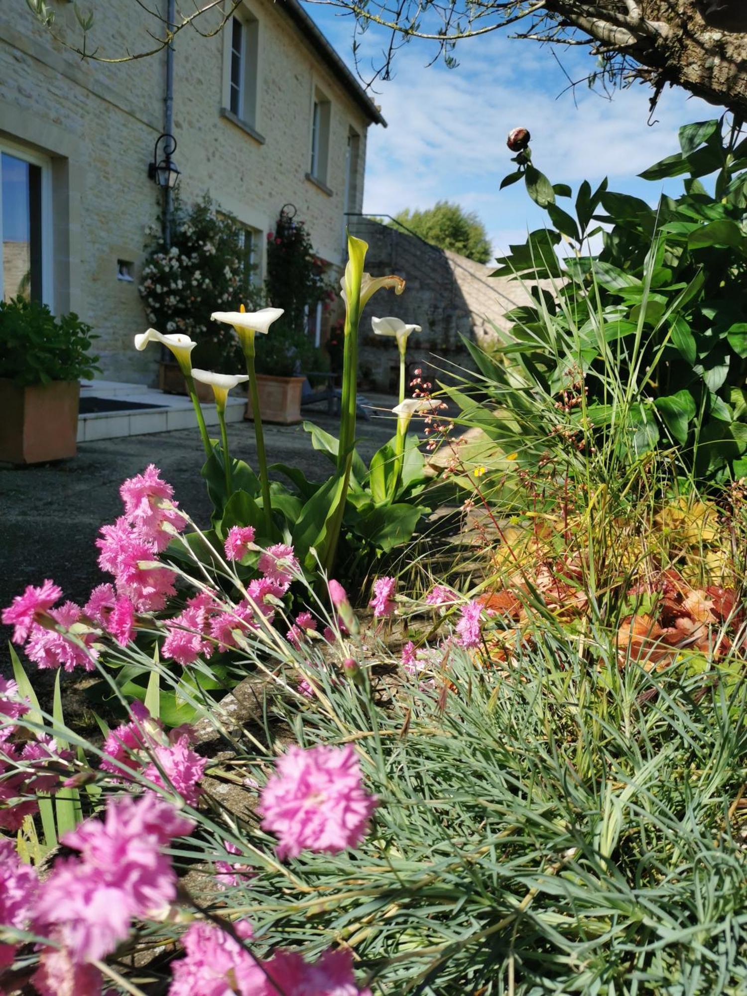 Chambre De L'Iris Sainte-Croix-sur-Mer Eksteriør billede