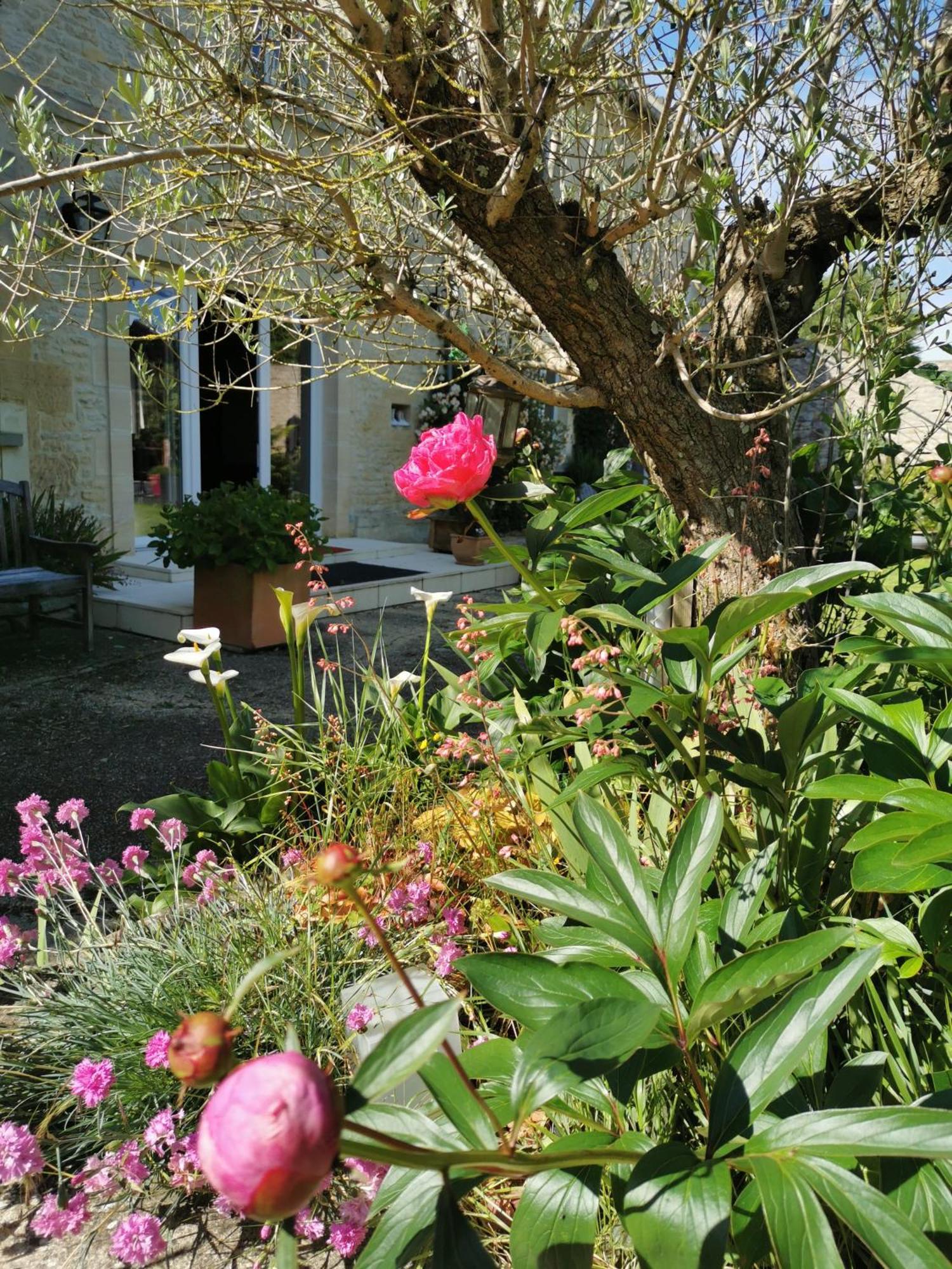 Chambre De L'Iris Sainte-Croix-sur-Mer Eksteriør billede